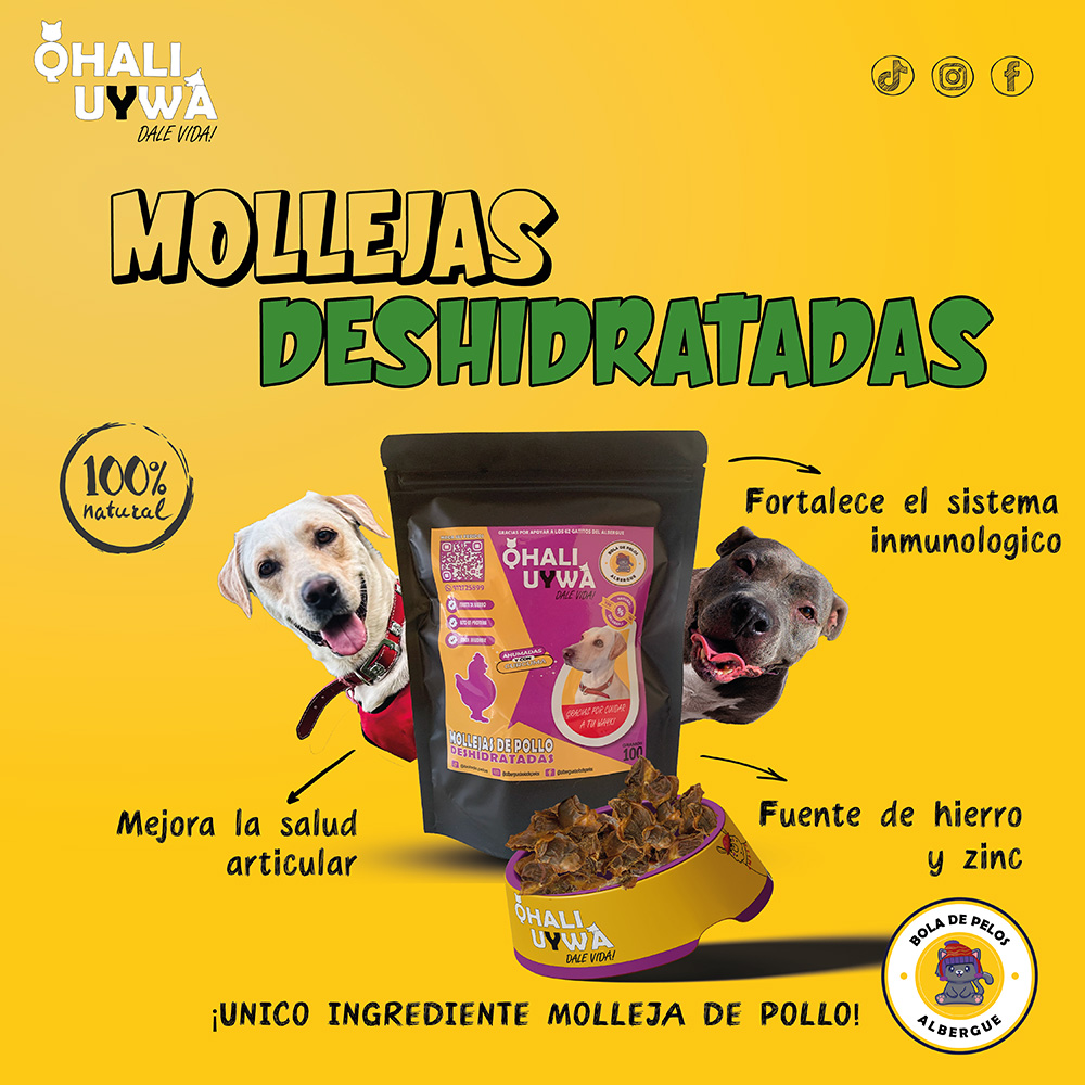 Mollejas Deshidratadas