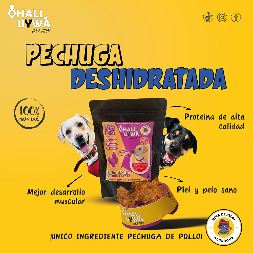 Pechuga Deshidratada